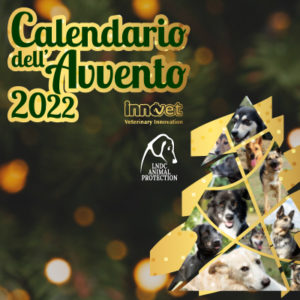 Torna il Calendario dell’Avvento Innovet!