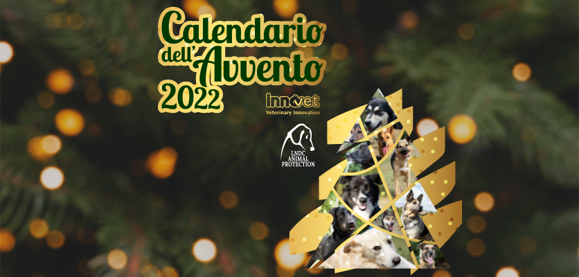 Torna il Calendario dell’Avvento Innovet!