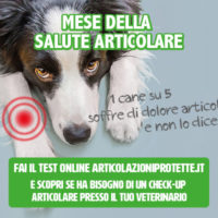 Al via il mese della salute articolare