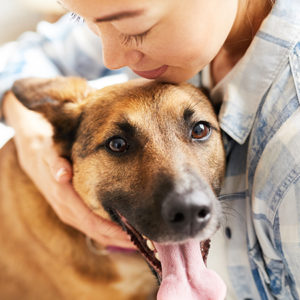 Il nostro cervello si mette in moto con la presenza di Fido