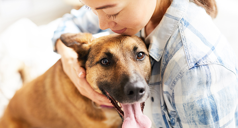 Il nostro cervello si mette in moto con la presenza di Fido