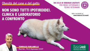 Obesità del cane e del gatto - Non sono tutti ipotiroidei. Clinica e laboratorio a confronto