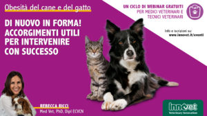 Obesità del cane e del gatto - Di nuovo in forma! Accorgimenti per intervenire con successo!