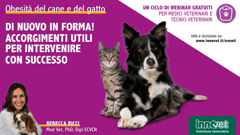 Obesità del cane e del gatto - Di nuovo in forma! Accorgimenti per intervenire con successo!