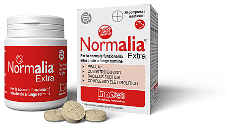 Normalia® Extra Compresse