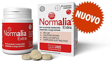 Normalia® Extra Compresse