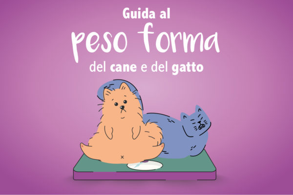 Guida al peso forma del cane e del gatto