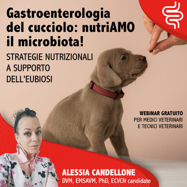 GASTROENTEROLOGIA DEL CUCCIOLO: NUTRIAMO IL MICROBIOTA. STRATEGIE NUTRIZIONALI A FAVORE DELL'EUBIOSI