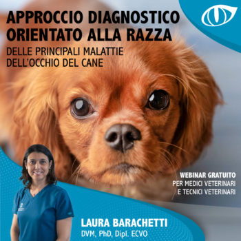 APPROCCIO DIAGNOSTICO ORIENTATO ALLA RAZZA DELLE PRINCIPALI MALATTIE DELL’OCCHIO DEL CANE