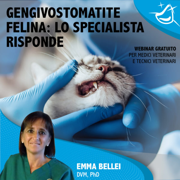 GENGIVOSTOMATITE FELINA: LO SPECIALISTA RISPONDE