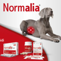 Novità! Da oggi Normalia® Extra è anche in compresse