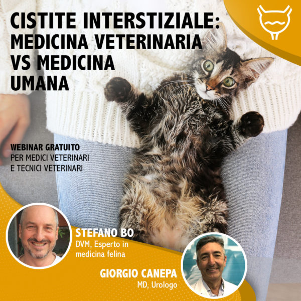 CISTITE INTERSTIZIALE: MEDICINA VETERINARIA VS MEDICINA UMANA