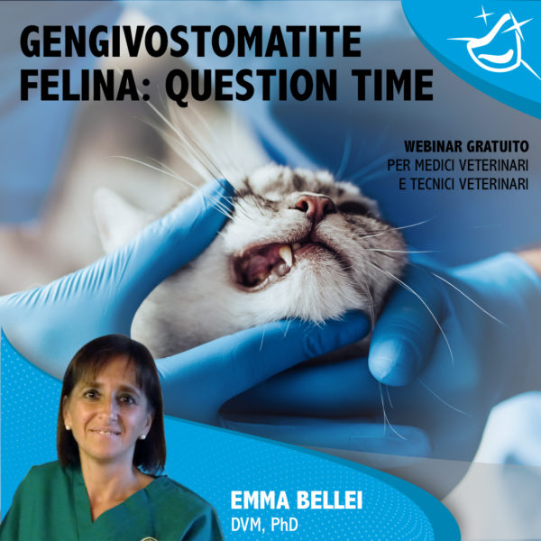 GENGIVOSTOMATITE FELINA: QUESTION TIME