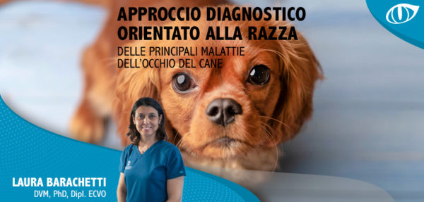 Un webinar Innovet sulle malattie oculari delle varie razze canine