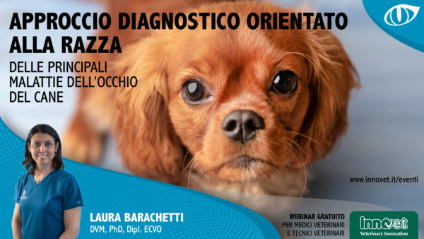 Approccio diagnostico orientato alla razza delle principali malattie dell'occhio del cane