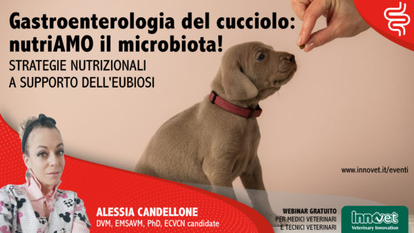Gastroenterologia del cucciolo: nutriAMO il microbiota!