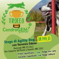 Fai Agility? Partecipa al Trofeo Condrogen®!