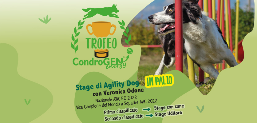 Fai Agility? Partecipa al Trofeo Condrogen®!