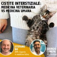 Un webinar sulla cistite interstiziale: donna e gatto a confronto
