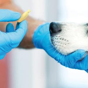 Nutrizione e dermatologia: amiche per la PE…A!