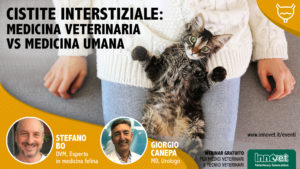 Cistite interstiziale: medicina veterinaria vs medicina umana