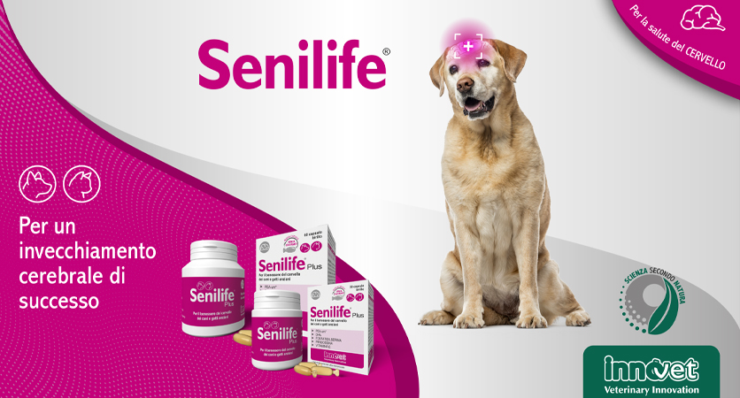 Senilife®: per un cervello in forma!