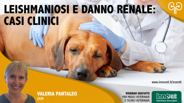 Leishmaniosi e danno renale: casi clinici