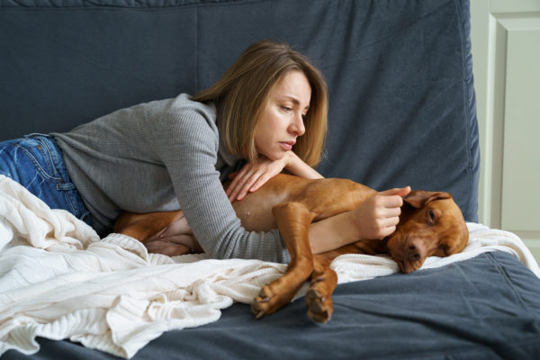 IBD? Un malessere condiviso fra cane e umano