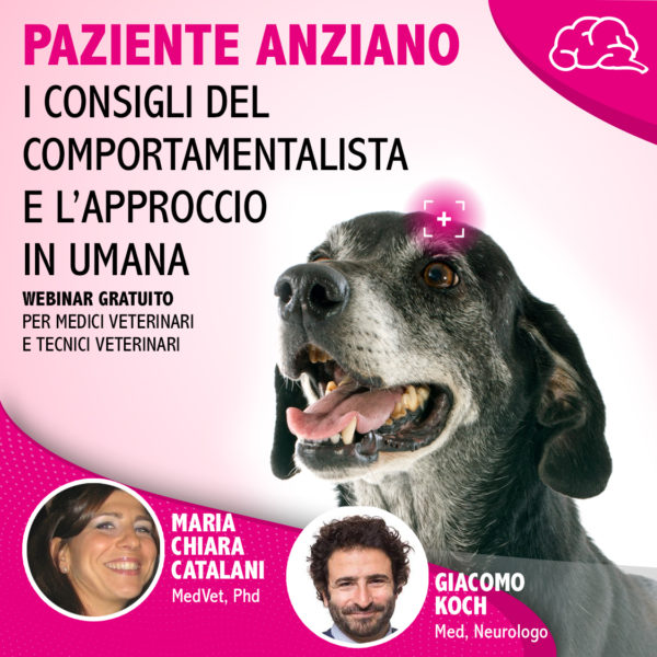 PAZIENTE ANZIANO: I CONSIGLI DEL COMPORTAMENTALISTA E L'APPROCCIO IN UMANA