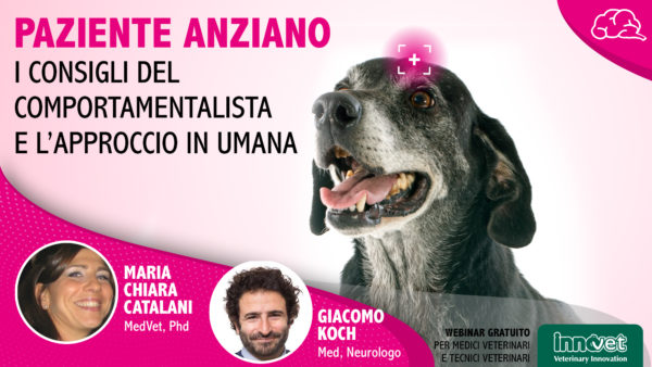 Paziente anziano: i consigli del comportamentalista e l'approccio in umana