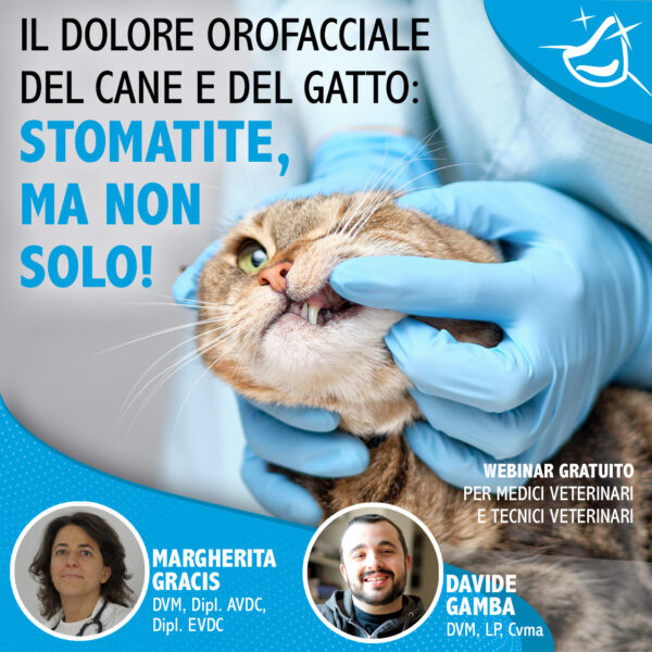 IL DOLORE OROFACCIALE DEL CANE E DEL GATTO: STOMATITE, MA NON SOLO!