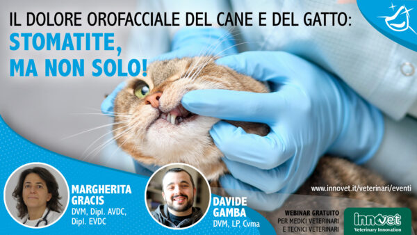 Il dolore orofacciale del cane e del gatto: stomatite, ma non solo!