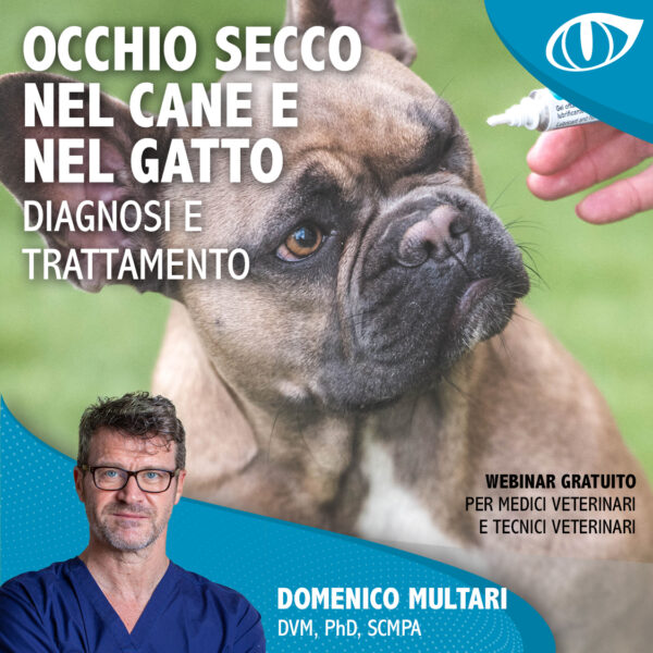 OCCHIO SECCO NEL CANE E NEL GATTO: DIAGNOSI E TRATTAMENTO