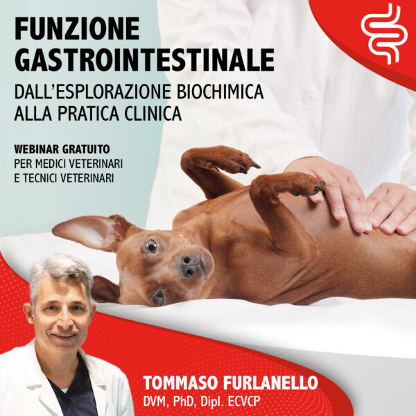 FUNZIONE GASTROINTESTINALE: DALL'ESPLORAZIONE BIOCHIMICA ALLA PRATICA CLINICA