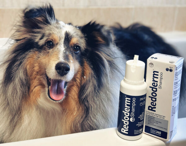 Redoderm®: lo shampoo specifico per la salute della pelle di cani e gatti