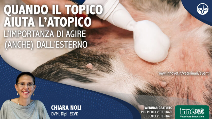 Quando il topico aiuta l'atopico. L'importanza di agire (anche) dall'esterno.