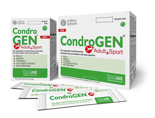 Condrogen® Adult & Sport