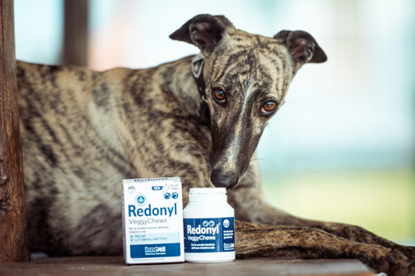 NUOVO REDONYL® VEGGY CHEWS: UN SUPPORTO NATURALE PER L'ASSE INTESTINO-CUTE