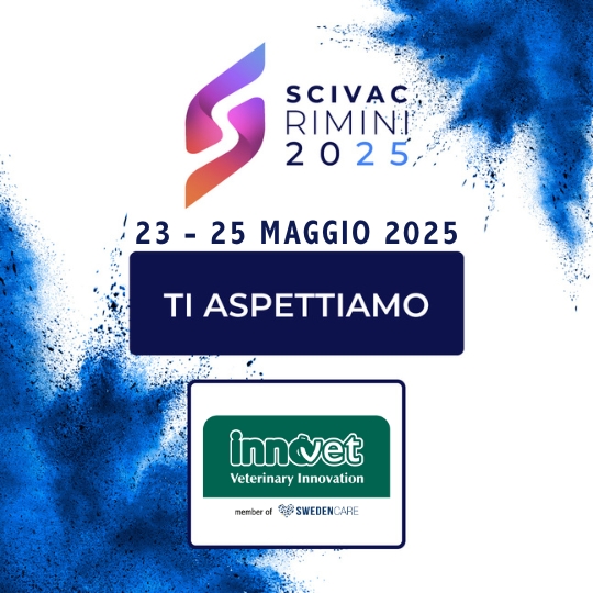 INNOQUIZ ALLO SCIVAC DI RIMINI 2025!