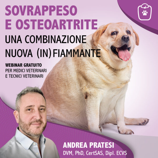 SOVRAPPESO E OSTEOARTRITE: UNA COMBINAZIONE NUOVA (IN)FIAMMANTE