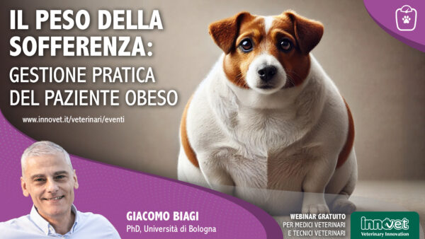 Il peso della sofferenza: gestione pratica del paziente obeso