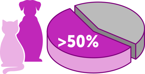 Grafico: più del 50% dei cani e gatti sono obesi