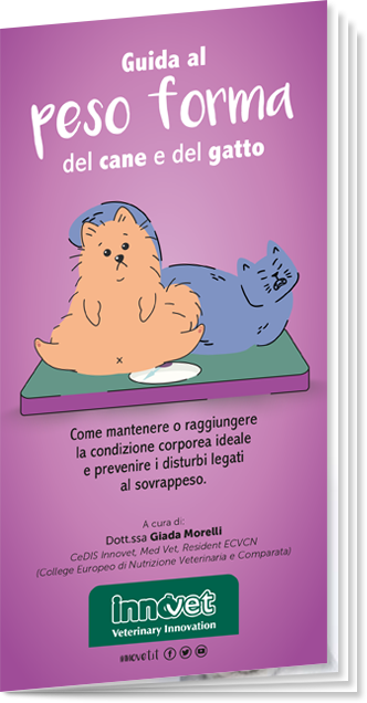 Copertina della Guida
