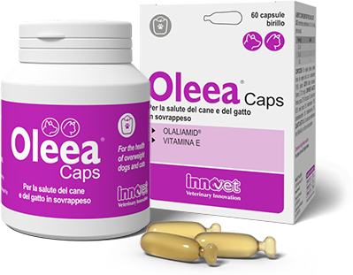 Confezione di Oleea Caps