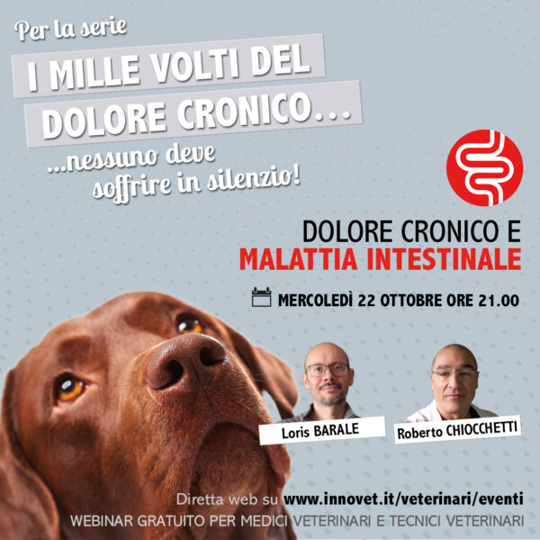 DOLORE CRONICO E MALATTIA INTESTINALE