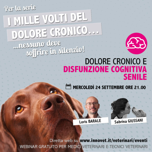 DOLORE CRONICO E DISFUNZIONE COGNITIVA SENILE