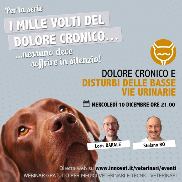 DOLORE CRONICO E DISTURBI DELLE BASSE VIE URINARIE