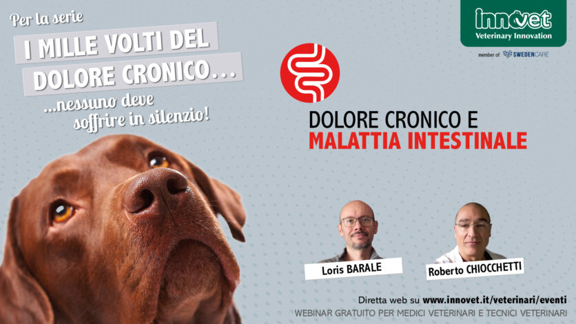 Dolore cronico e malattia intestinale