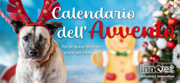 Immagine per l'articolo: Al via il Calendario dell’Avvento 2025