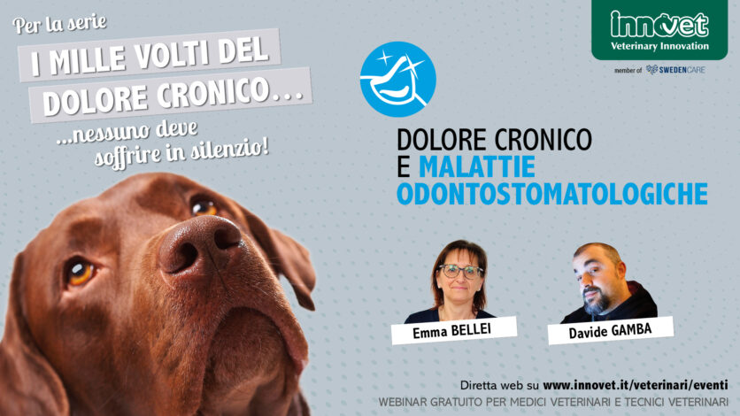 Dolore cronico e malattie odontostomatologiche
